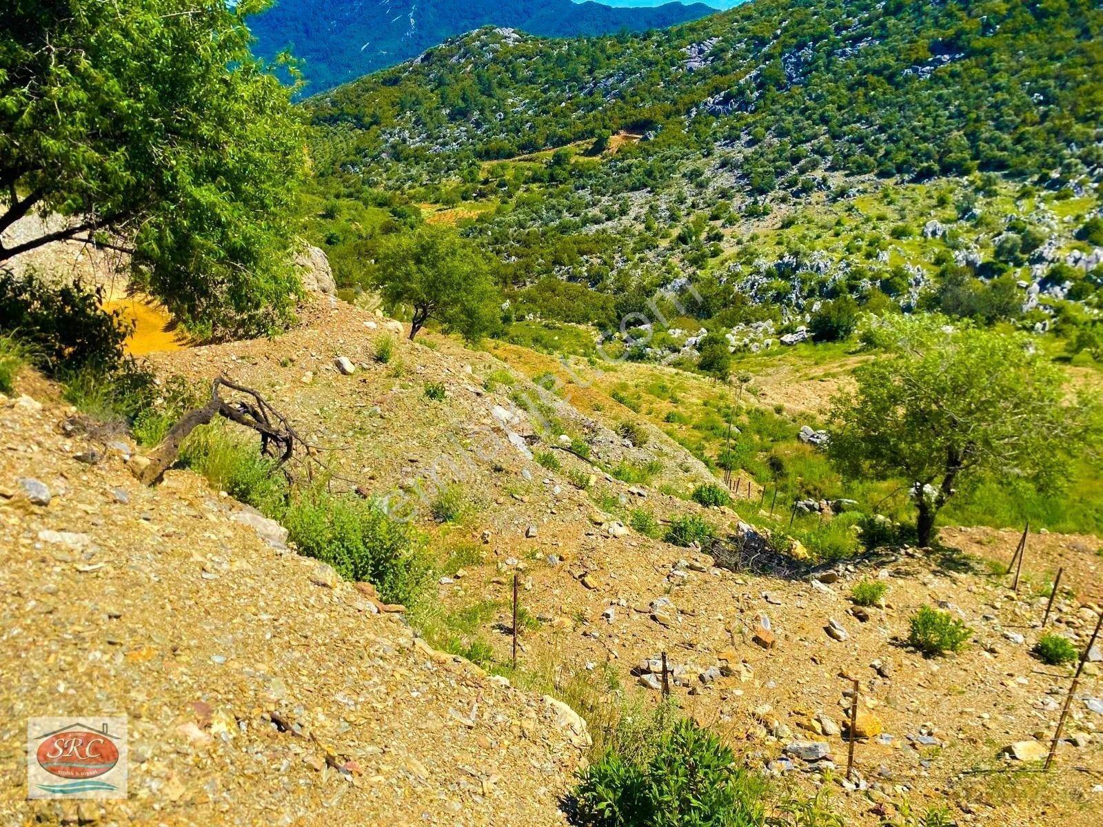 Mersin Anamur Karaçukur Müstakil Tapulu Satılık Tarla(fiyatını Düşürdük) — fotoğraf 17