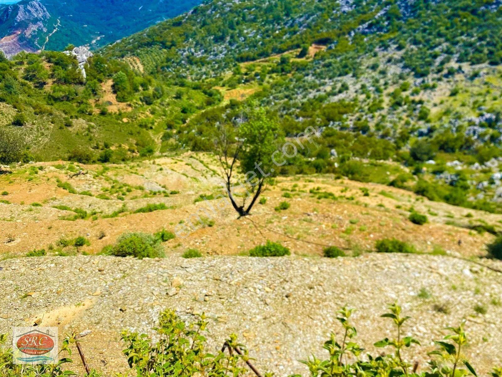 Mersin Anamur Karaçukur Müstakil Tapulu Satılık Tarla(fiyatını Düşürdük) — fotoğraf 18