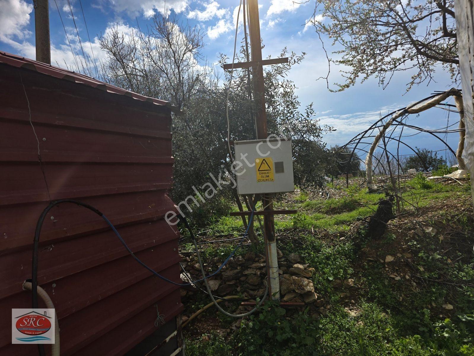 Mersin Anamur Satılık Muz Serası — fotoğraf 16