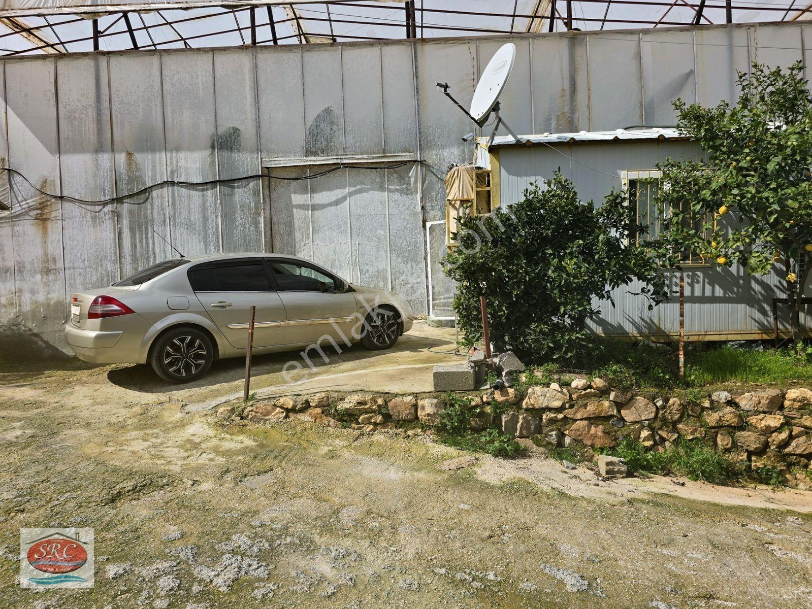 Mersin Anamur Satılık Muz Serası — fotoğraf 21