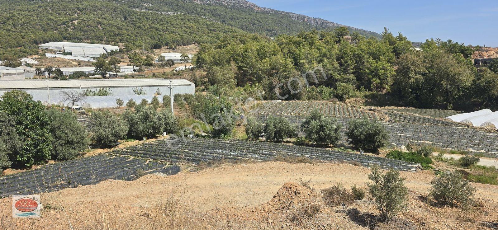 Anamur Ermenek Yoluna Cepheli Satılık Ev Ve Tarla(fiyatı Düşürdük) — fotoğraf 5