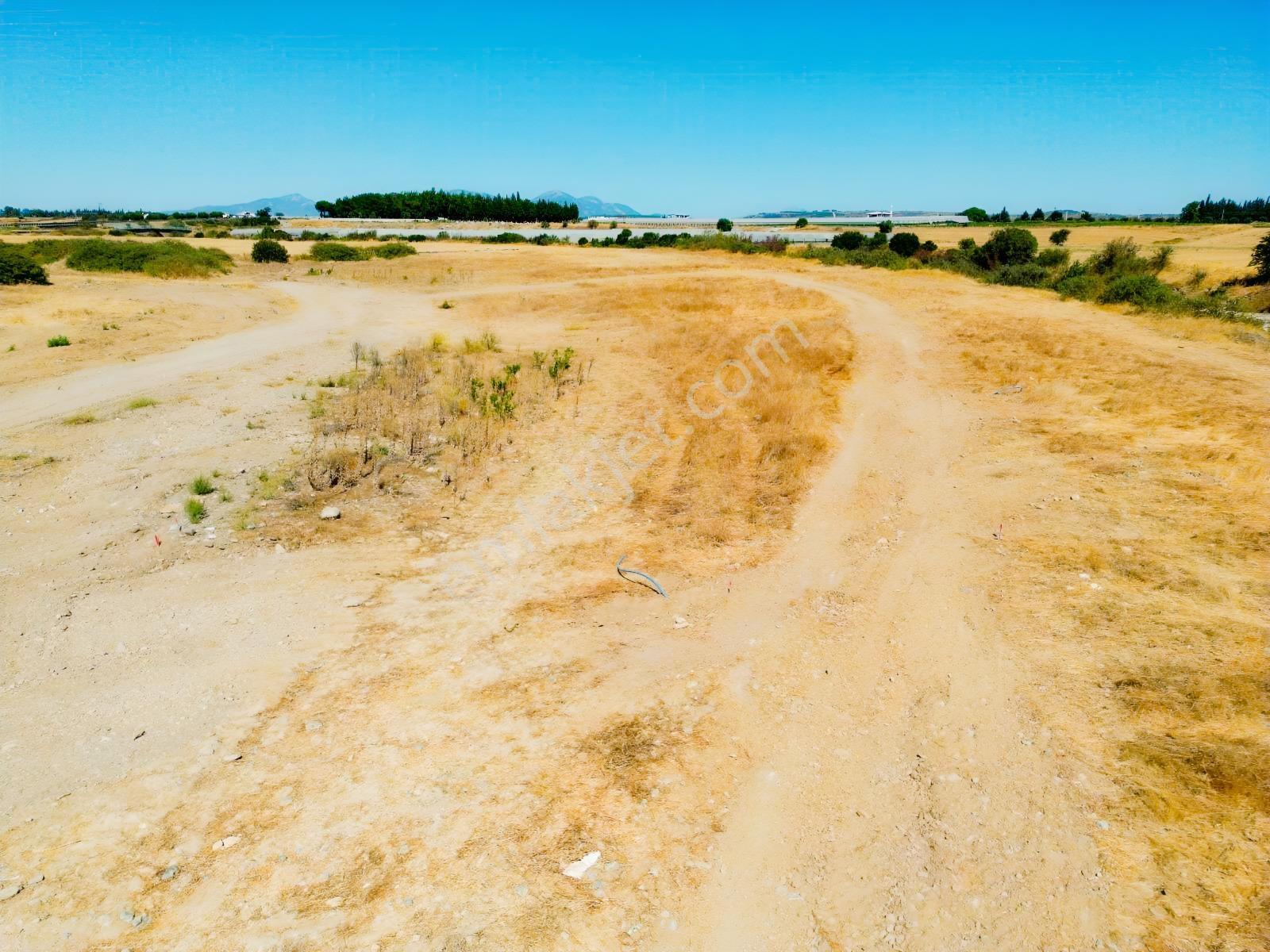 Menderes Gümüldür Yolu Üzerinde 250 M2 Satılık Bahçeler — fotoğraf 4