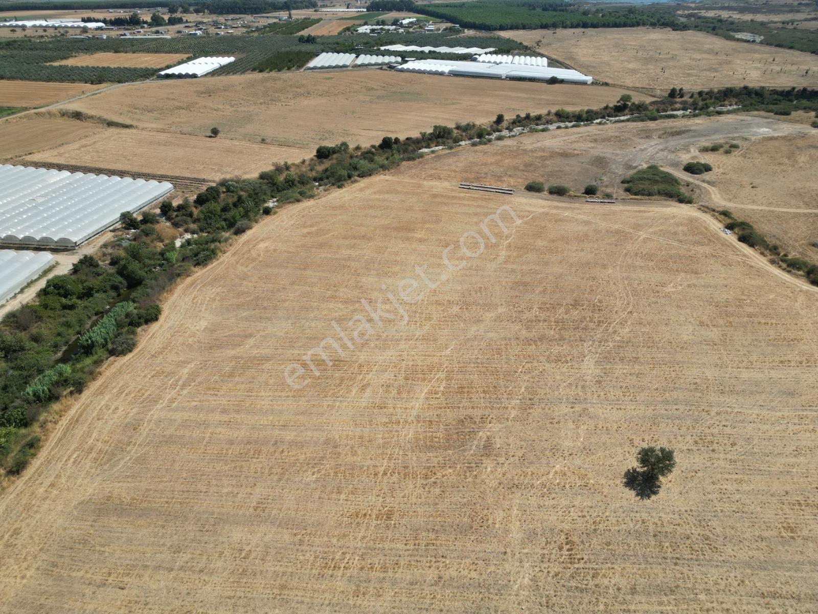 Menderes Gümüldür Yolu Üzerinde 250 M2 Satılık Bahçeler — fotoğraf 11