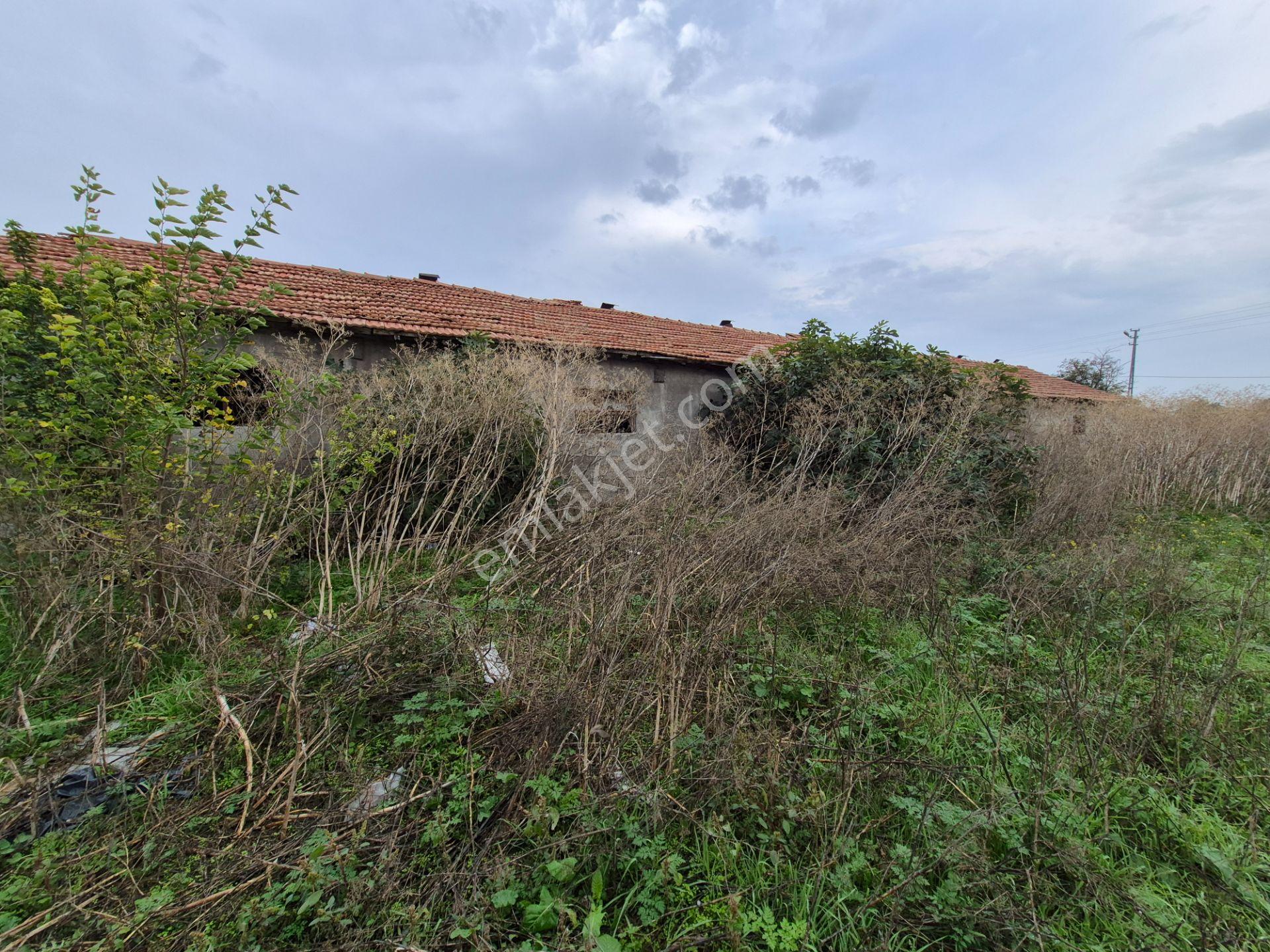 Satılık Konut İmarlı Arsa Suluova Borsa Mahallesi — fotoğraf 8