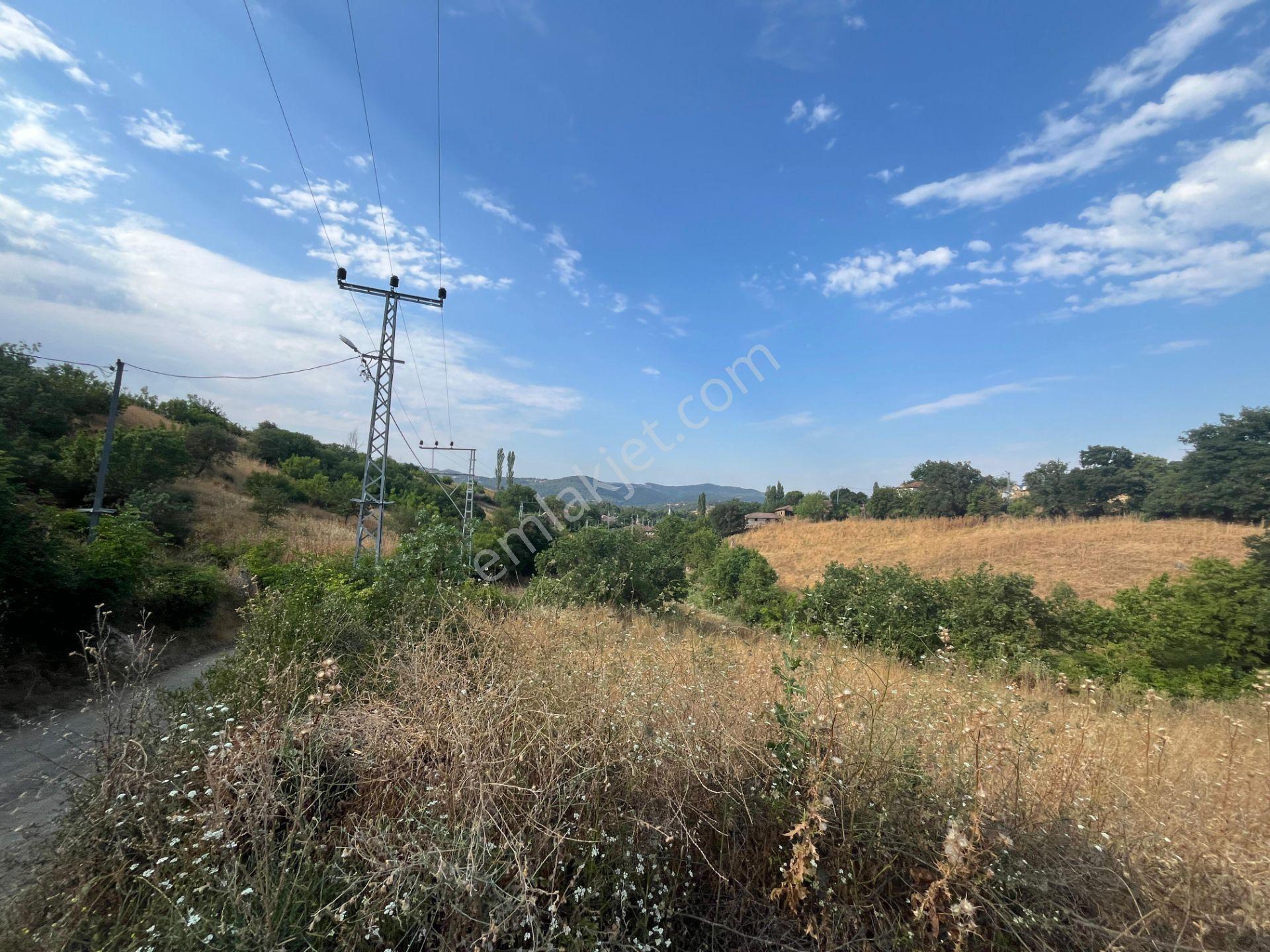 Balya Orhanlar Köy'ünde 1430 M² İmarlı Arsa Emsallerin Altında Fiyat — fotoğraf 20