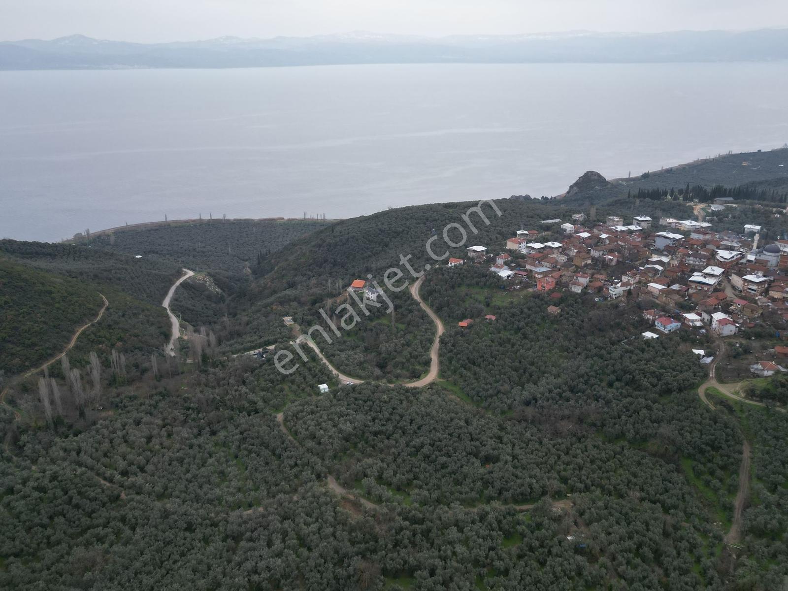 Müftüoğlu'ndan İznik Müşküle Mah. Satılık Tarla — fotoğraf 2