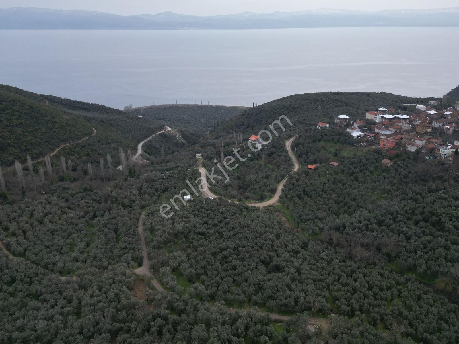 Müftüoğlu'ndan İznik Müşküle Mah. Satılık Tarla — fotoğraf 4