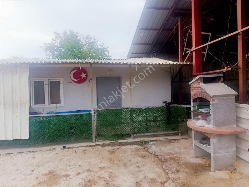 Bursa Emlak Alem-i Örnekköy De Hazır Kurulu Büyük Baş Çiftliği — fotoğraf 4