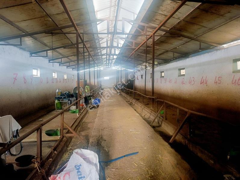Bursa Emlak Alem-i Örnekköy De Hazır Kurulu Büyük Baş Çiftliği — fotoğraf 12