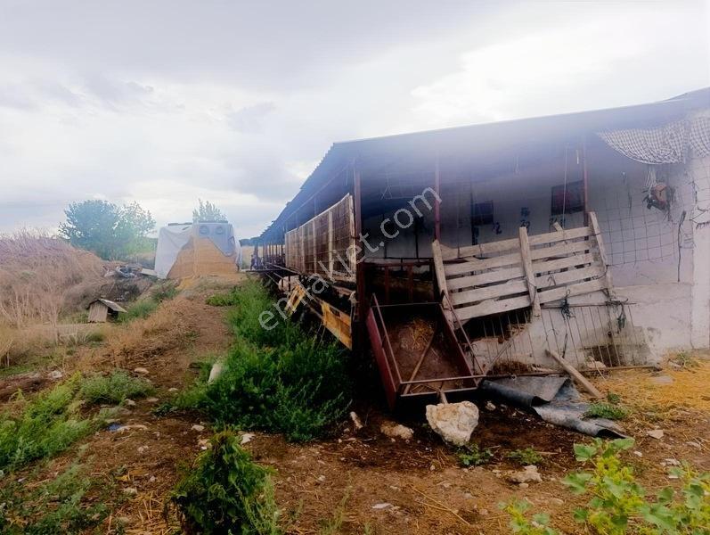 Bursa Emlak Alem-i Örnekköy De Hazır Kurulu Büyük Baş Çiftliği — fotoğraf 13