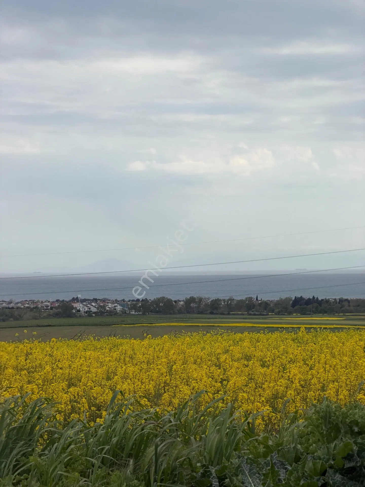 Marmaraereğlisi Çeşmeli'de Deniz Manzaralı 300 M² Arsa — fotoğraf 5