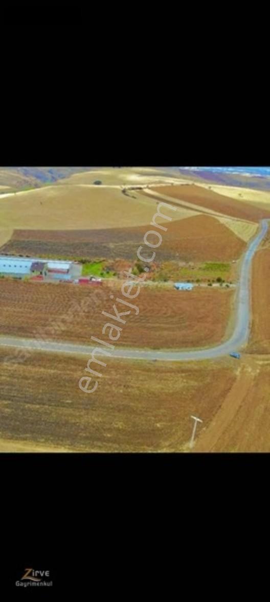 Zırve'den Çardakbağı 1710mere Tarla — fotoğraf 2