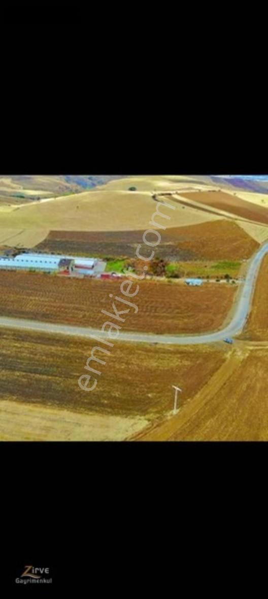 Zırve'den Çardakbağı 1710mere Tarla — fotoğraf 3