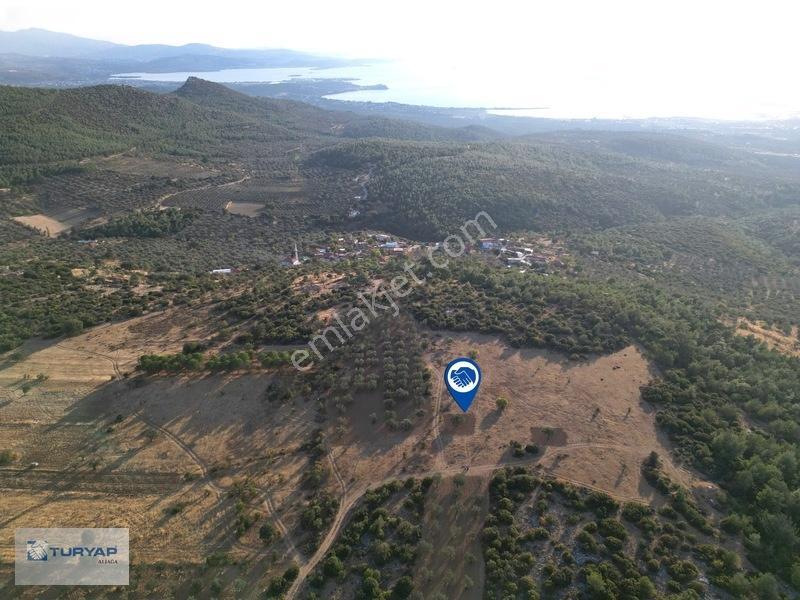 Bergama Zeytindağda Satılık 3.750 M2 Tarla — fotoğraf 4