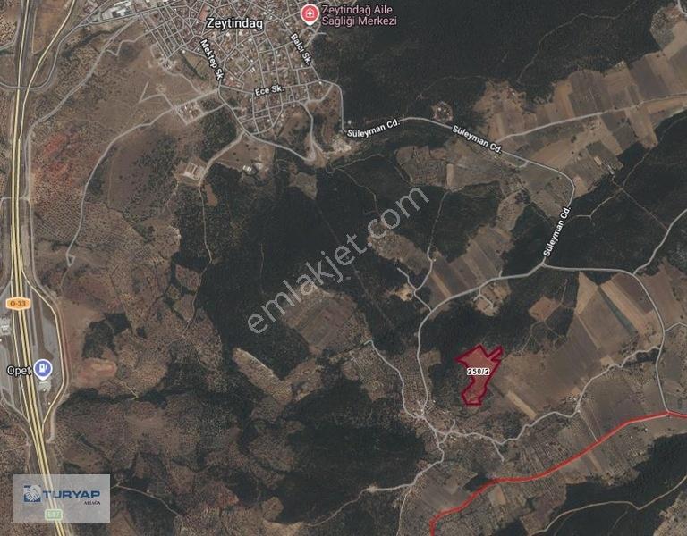 Bergama Zeytindağda Satılık 3.750 M2 Tarla — fotoğraf 5