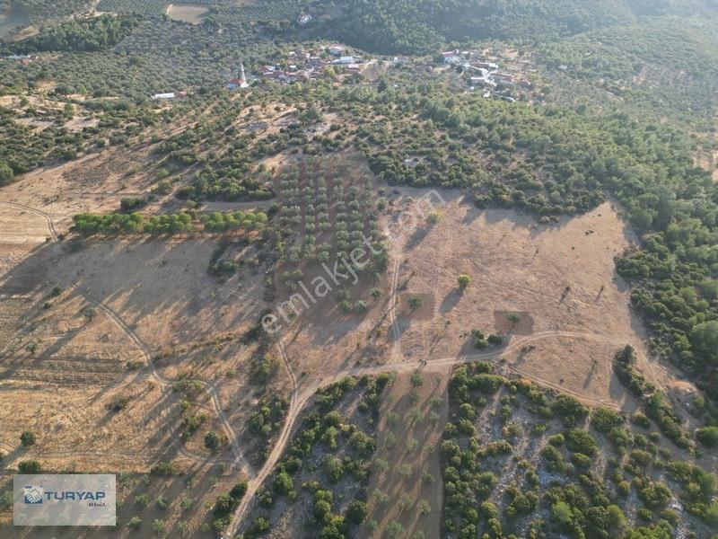 Bergama Zeytindağda Satılık 3.750 M2 Tarla — fotoğraf 7