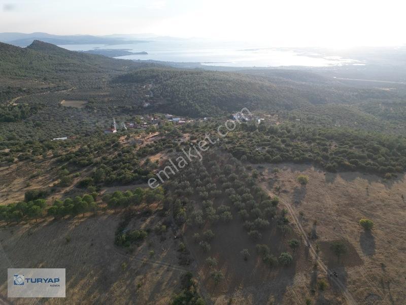 Bergama Zeytindağda Satılık 3.750 M2 Tarla — fotoğraf 9