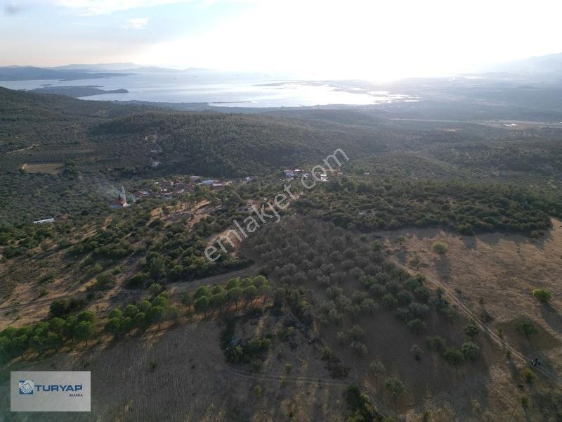 Bergama Zeytindağda Satılık 3.750 M2 Tarla — fotoğraf 11