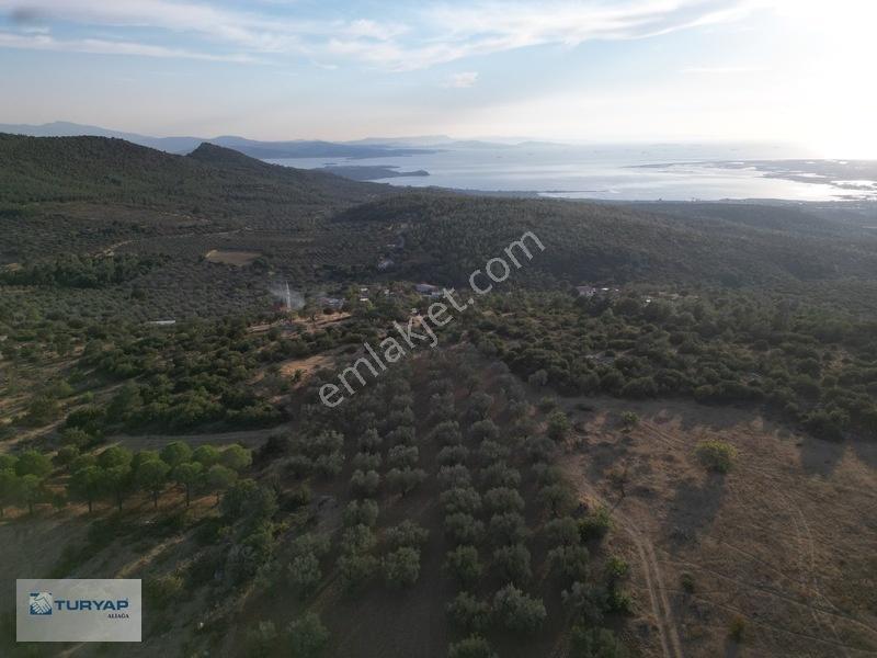Bergama Zeytindağda Satılık 3.750 M2 Tarla — fotoğraf 13