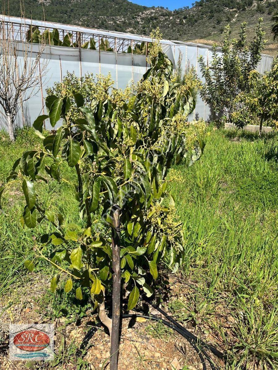 Mersin Anamur Satılık Müstakil Arsa — fotoğraf 3