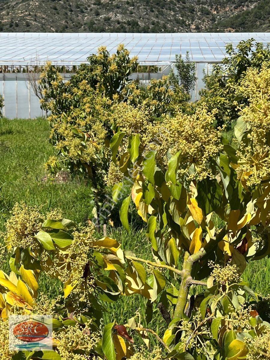 Mersin Anamur Satılık Müstakil Arsa — fotoğraf 5