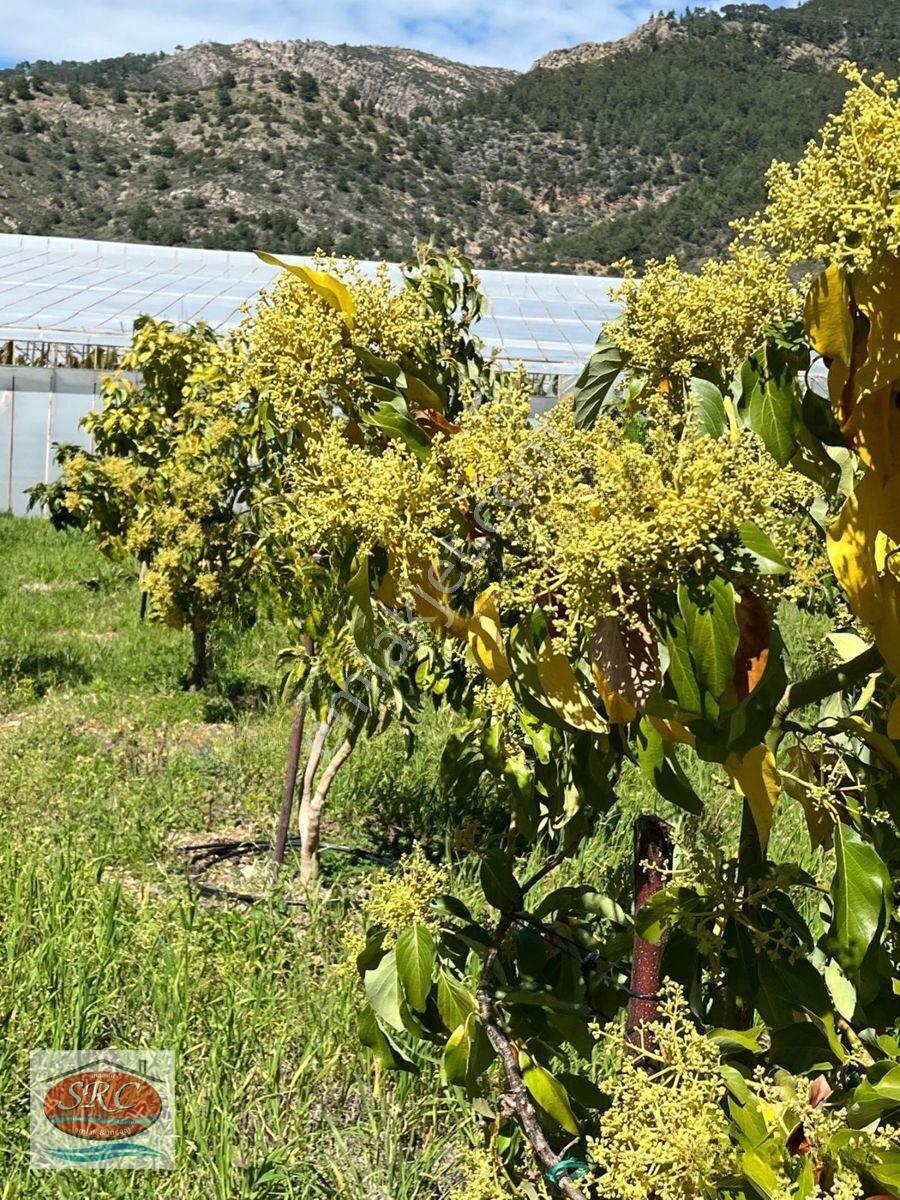 Mersin Anamur Satılık Müstakil Arsa — fotoğraf 6