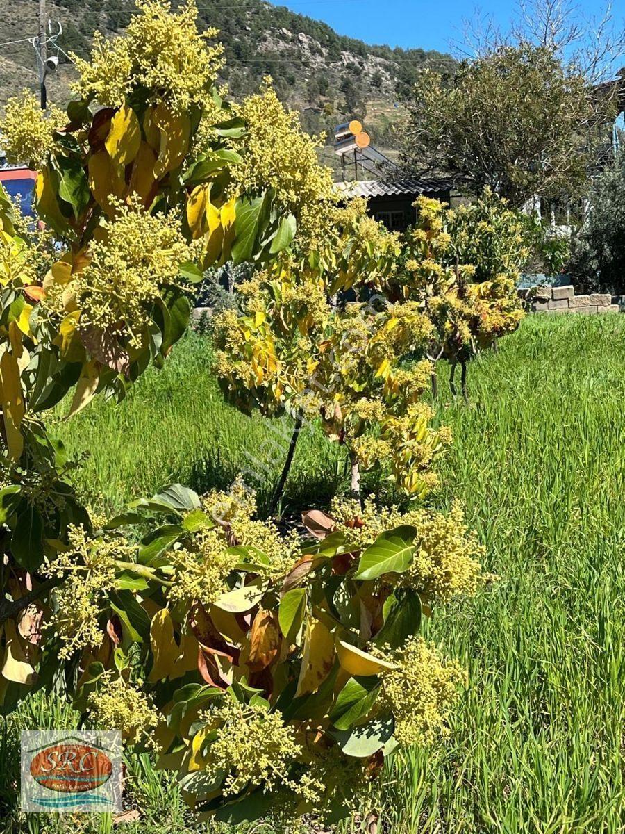 Mersin Anamur Satılık Müstakil Arsa — fotoğraf 7