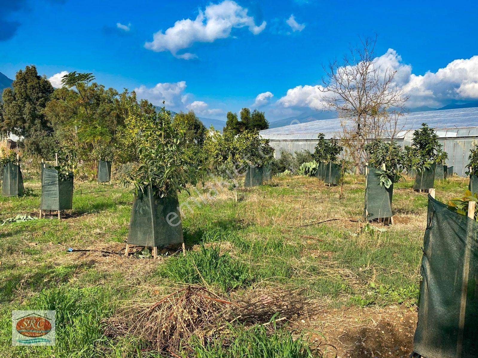 Mersin Anamur Satılık Müstakil Arsa — fotoğraf 13