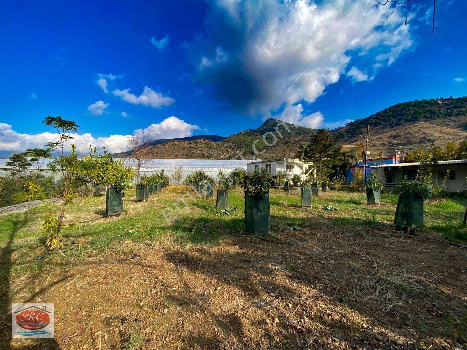 Mersin Anamur Satılık Müstakil Arsa — fotoğraf 14