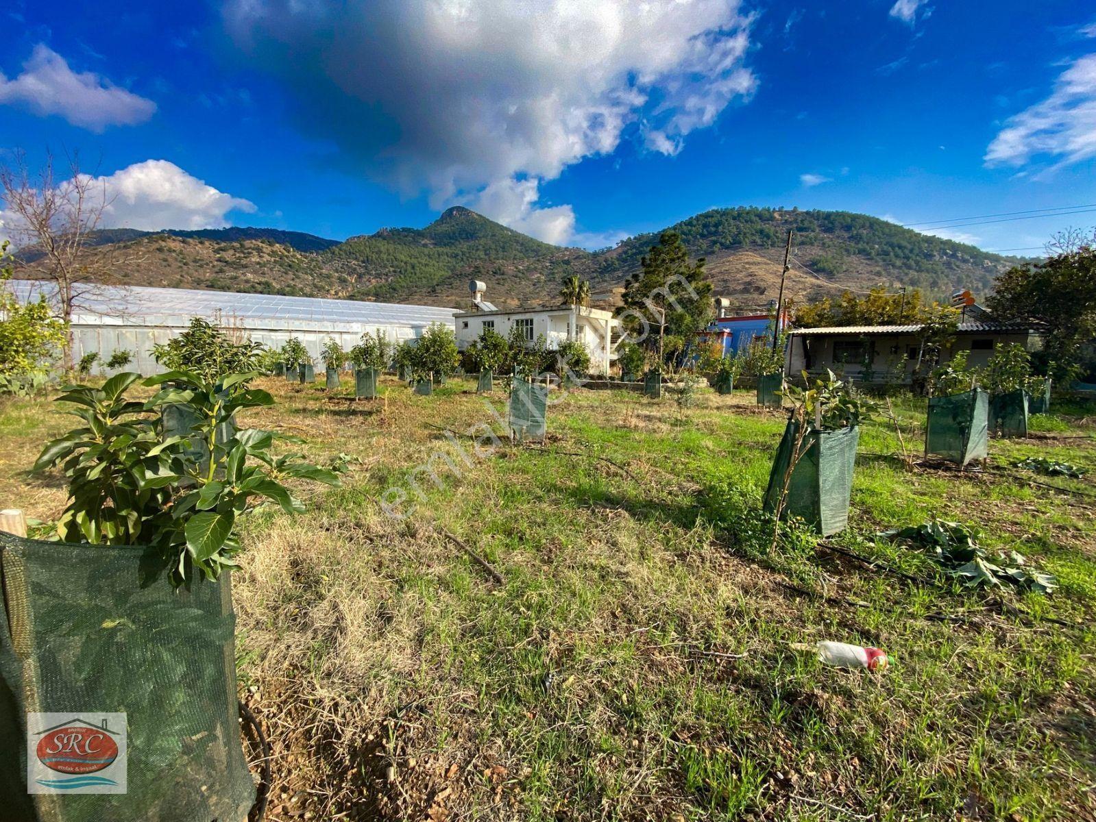 Mersin Anamur Satılık Müstakil Arsa — fotoğraf 15