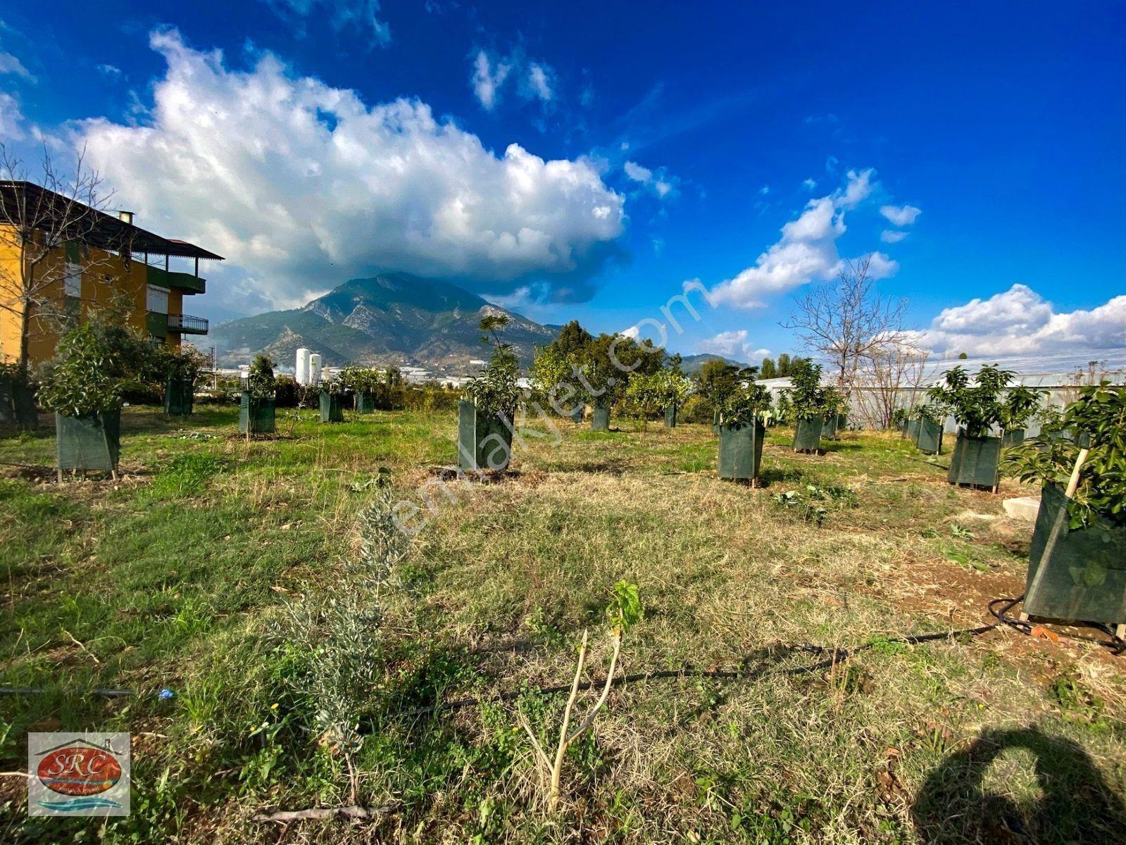 Mersin Anamur Satılık Müstakil Arsa — fotoğraf 17