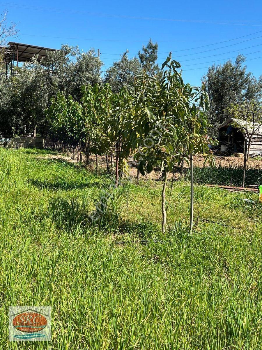 Mersin Anamur Satılık Müstakil Arsa — fotoğraf 18