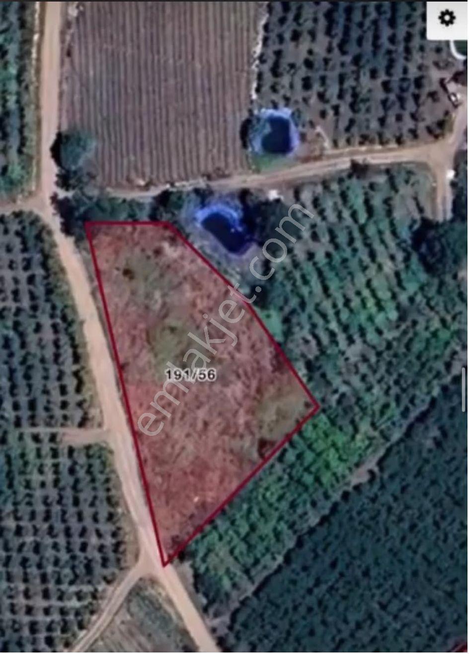 Fa'dan Mezitli Tepeköy'de Yola Cepheli 1.961 M² Satılık Bahçe