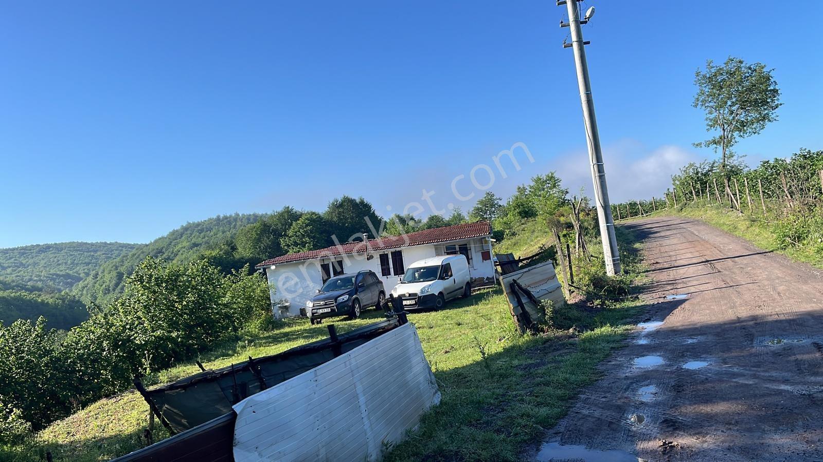 Remax'Tan Düzce Asar Köyünde Yapı Kayıt Belgeli Fındık Bahçesi