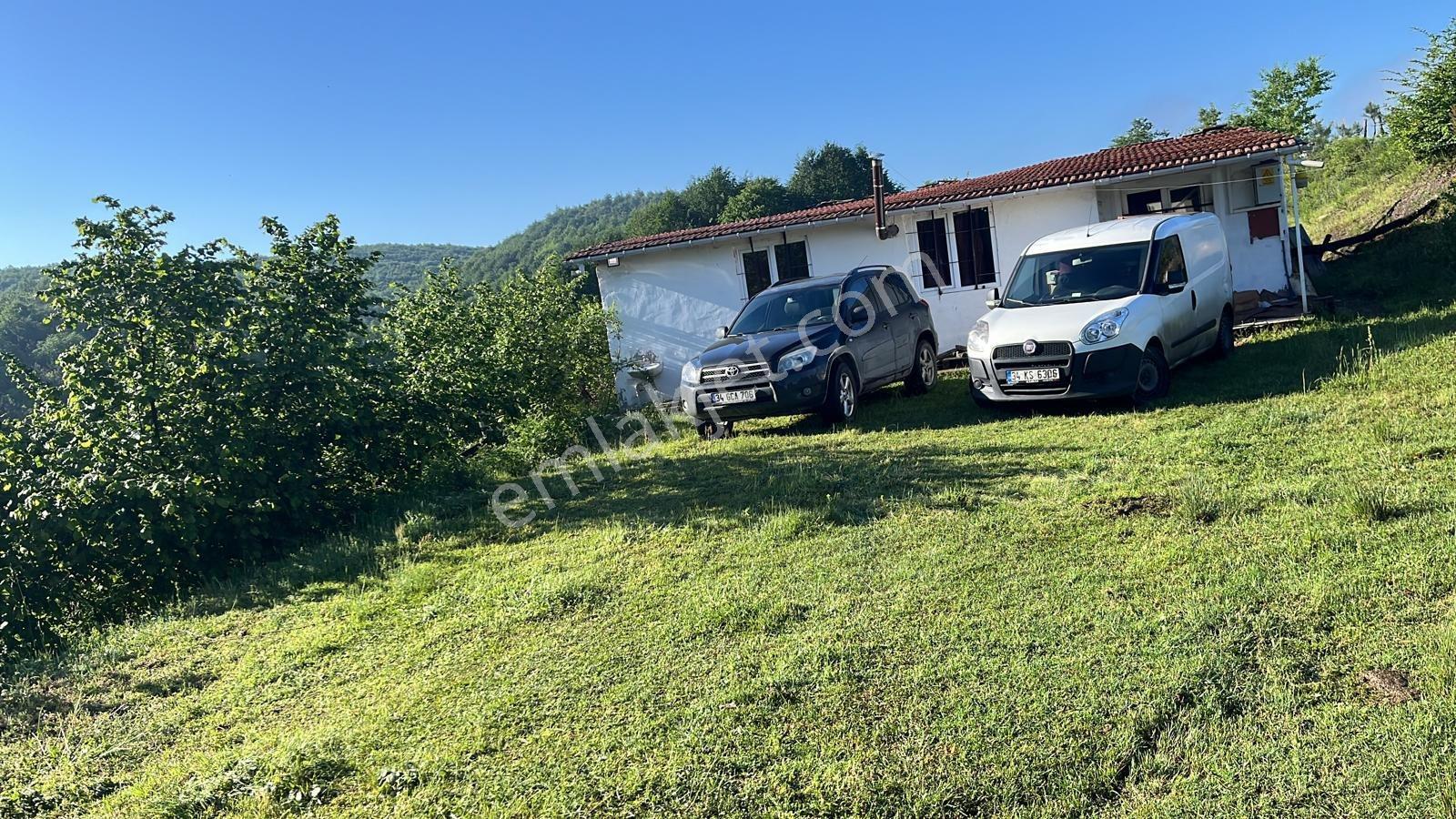 Remax'tan Düzce Asar Köyünde Yapı Kayıt Belgeli Fındık Bahçesi — fotoğraf 4