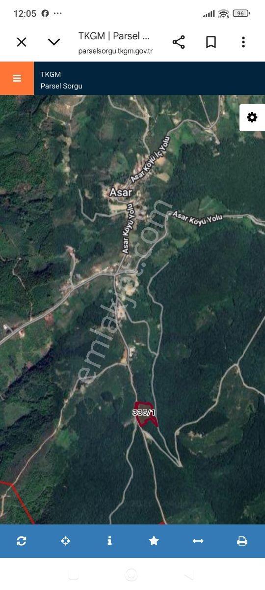 Remax'tan Düzce Asar Köyünde Yapı Kayıt Belgeli Fındık Bahçesi — fotoğraf 5
