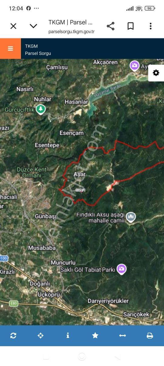 Remax'tan Düzce Asar Köyünde Yapı Kayıt Belgeli Fındık Bahçesi — fotoğraf 7