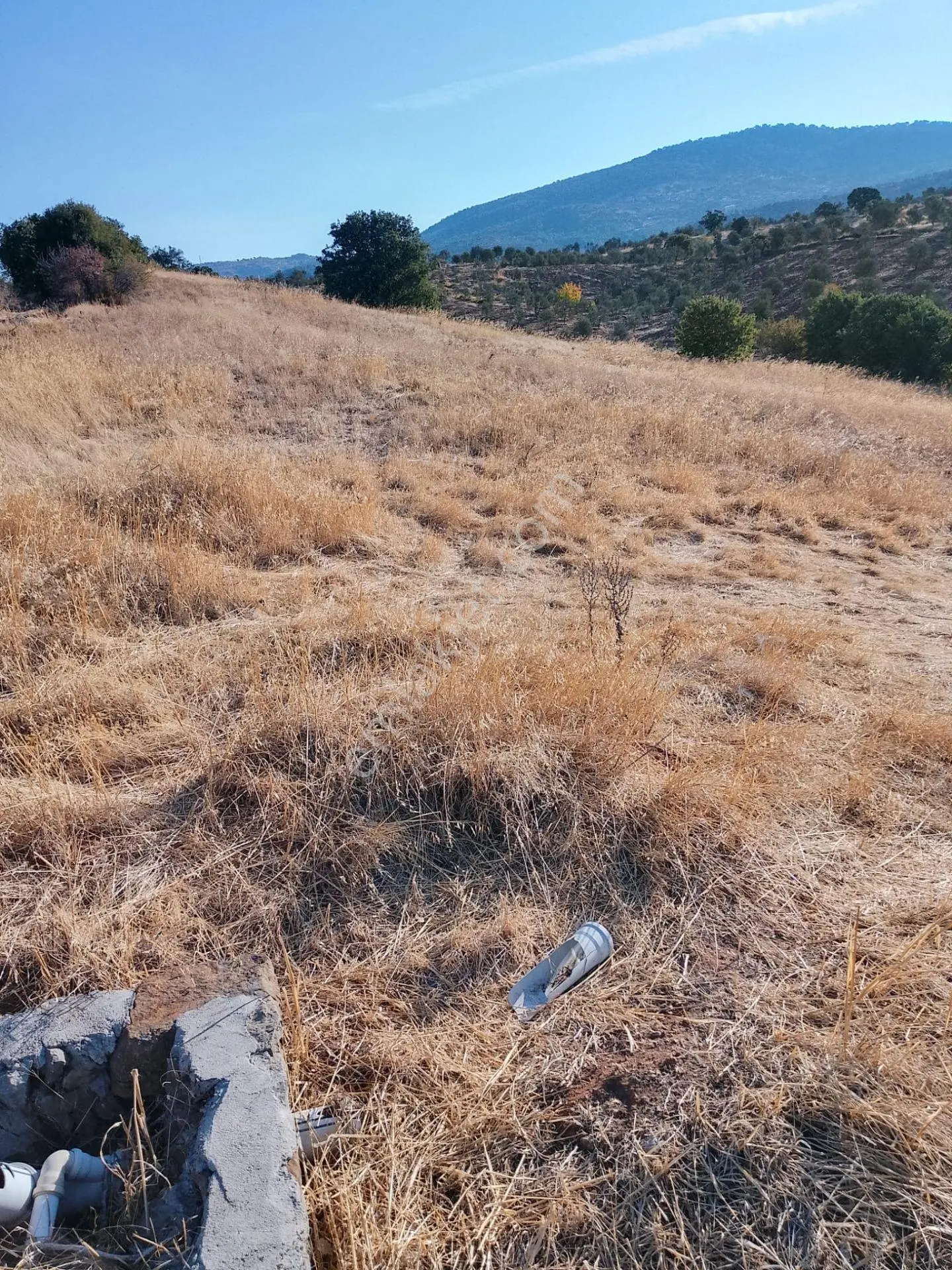 Pak Yapıdan Satılık Tarla/zeytinlik Burhaniye Avumduk Mah. — fotoğraf 8