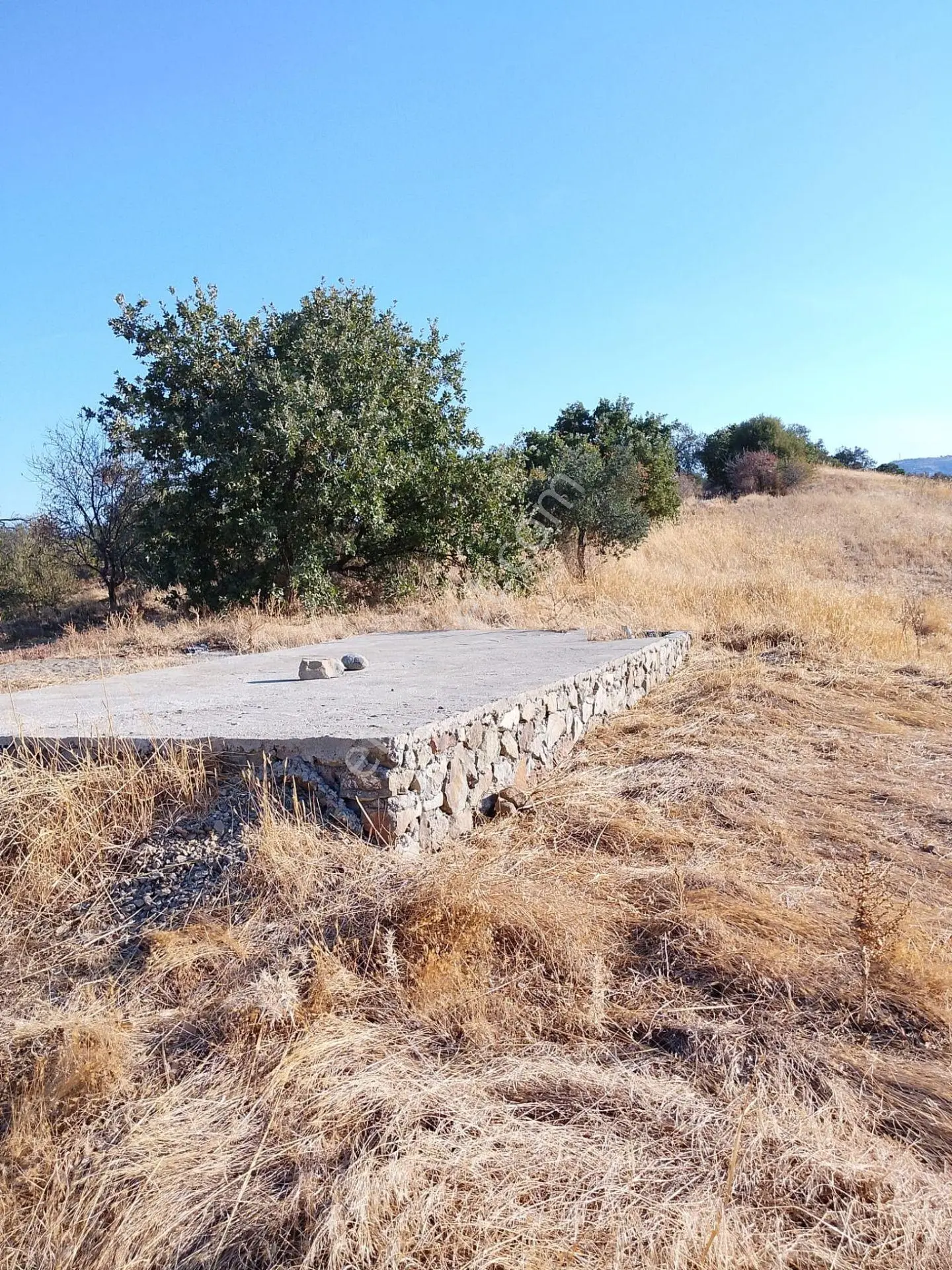 Pak Yapıdan Satılık Tarla/zeytinlik Burhaniye Avumduk Mah. — fotoğraf 9