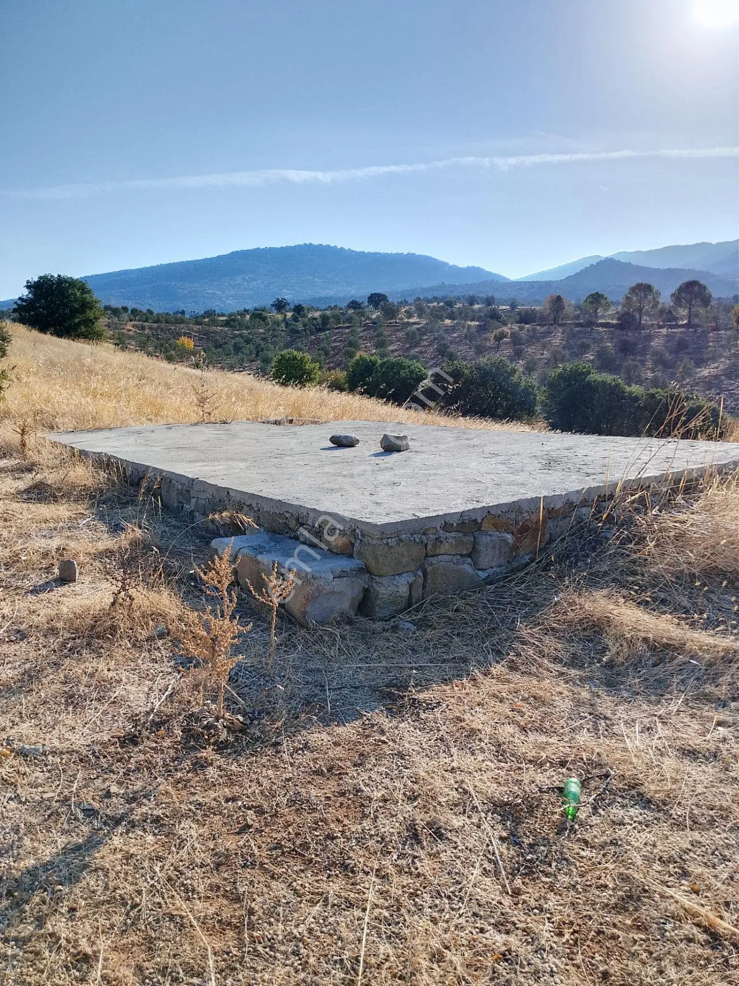 Pak Yapıdan Satılık Tarla/zeytinlik Burhaniye Avumduk Mah. — fotoğraf 11
