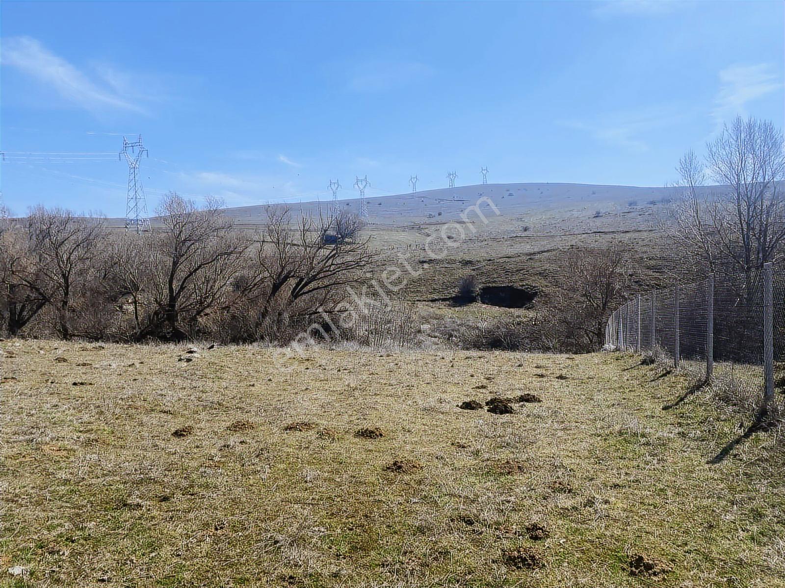 Rw Lıfe // Eskişehir Tepebaşı Uluderede Satılık Tarla — fotoğraf 2
