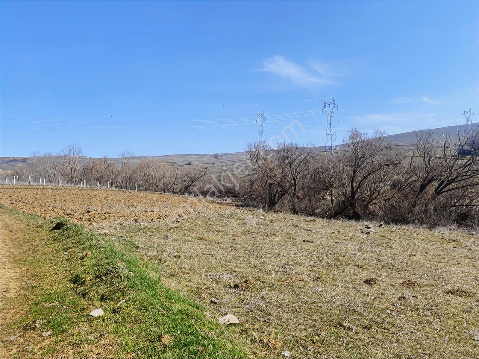 Rw Lıfe // Eskişehir Tepebaşı Uluderede Satılık Tarla — fotoğraf 3