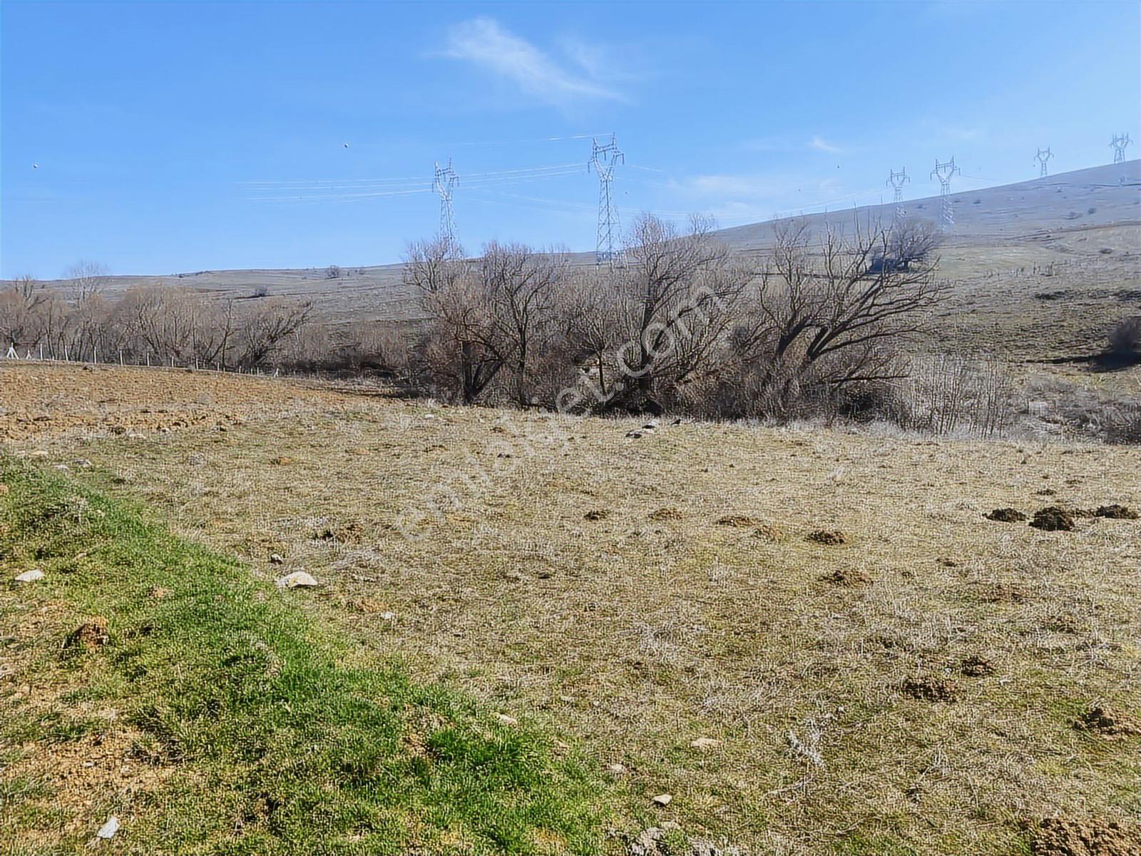 Rw Lıfe // Eskişehir Tepebaşı Uluderede Satılık Tarla — fotoğraf 4