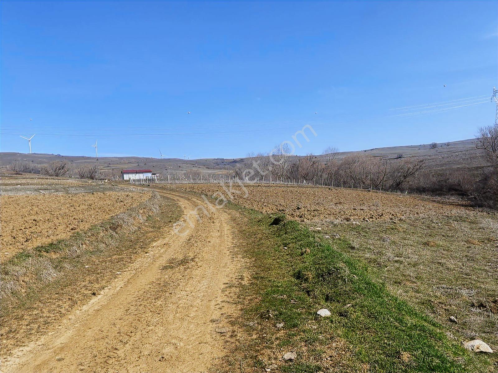 Rw Lıfe // Eskişehir Tepebaşı Uluderede Satılık Tarla — fotoğraf 5