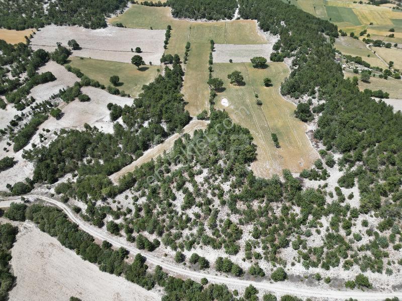 Kütahya Merkez'de Müstakil 5600m² Satılık Arsa (araç Takaslı) — fotoğraf 3
