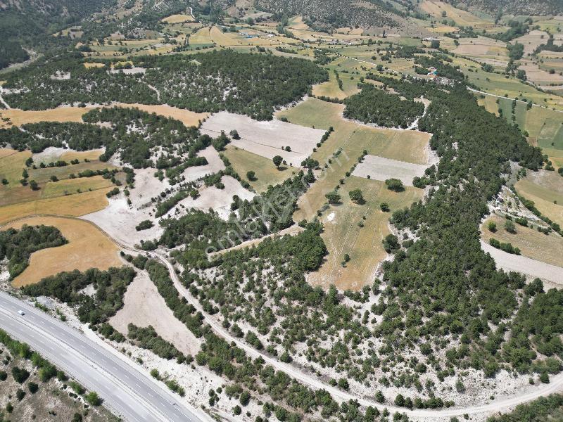 Kütahya Merkez'de Müstakil 5600m² Satılık Arsa (araç Takaslı) — fotoğraf 7