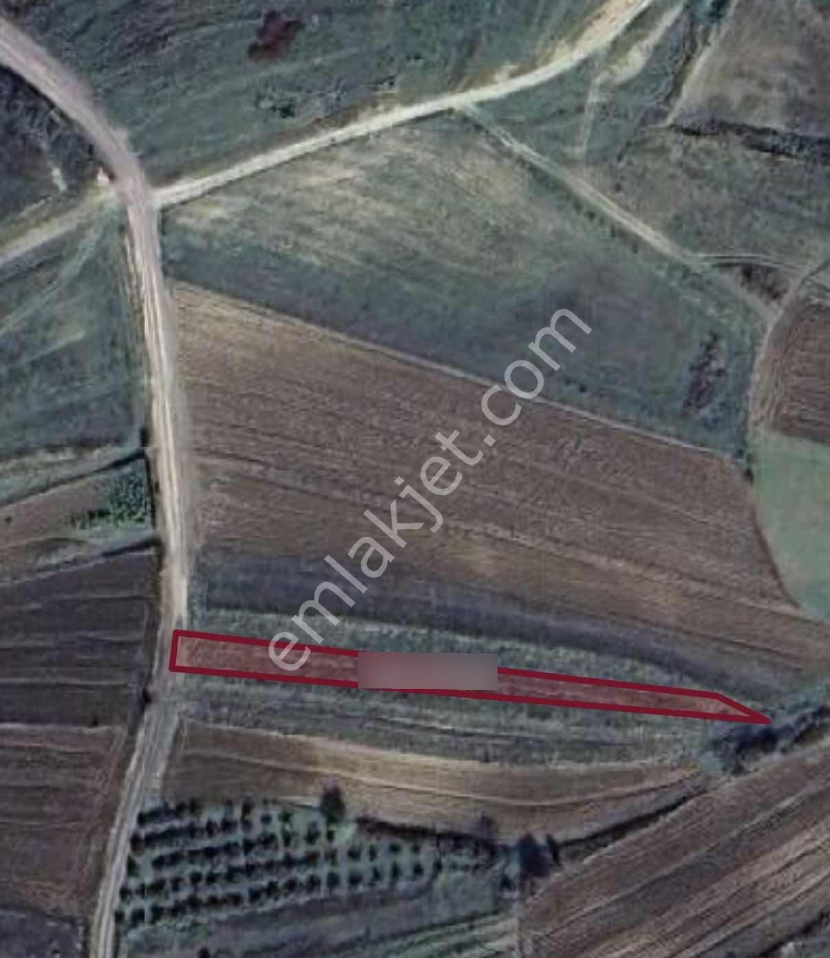 Şile Geredelide Satılık 726 M² Tarla | Yola Cephe — fotoğraf 2
