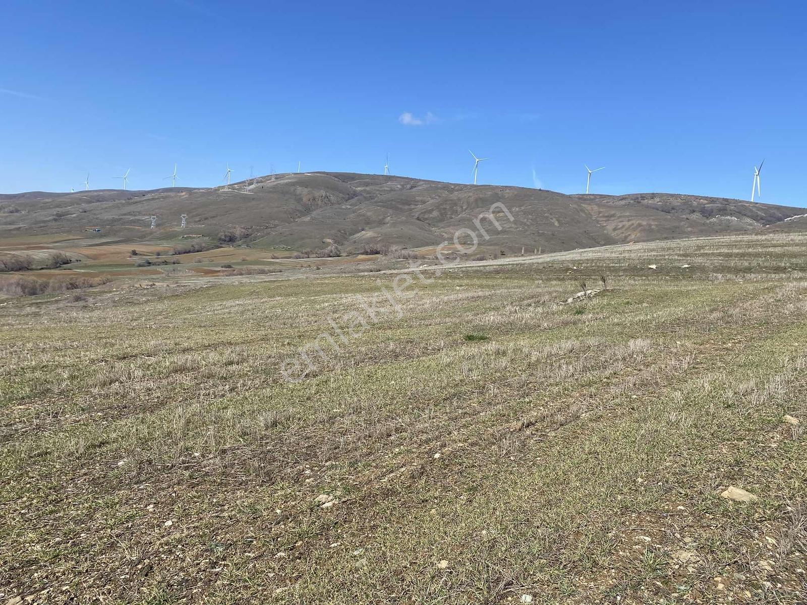 Rw Lıfe // Eskişehir Tepebaşı Uluderede Satılık Tarla — fotoğraf 4