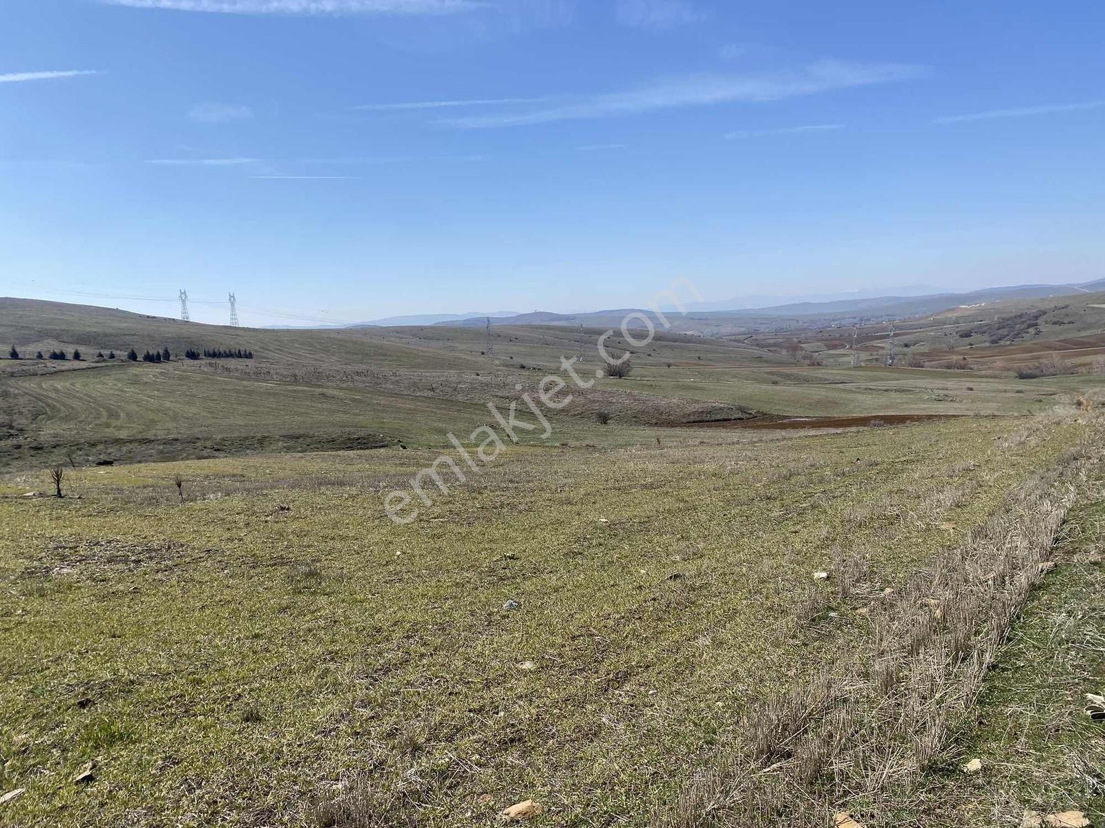 Rw Lıfe // Eskişehir Tepebaşı Uluderede Satılık Tarla — fotoğraf 8
