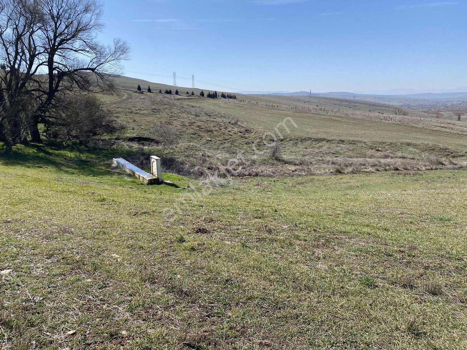 Rw Lıfe // Eskişehir Tepebaşı Uluderede Satılık Tarla — fotoğraf 9